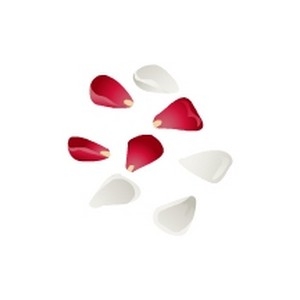 Wedding Petals